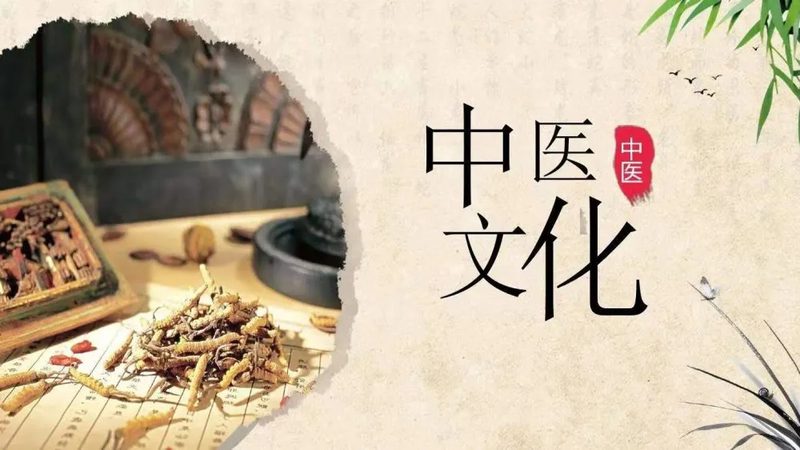 拔罐减肥食谱三天见效