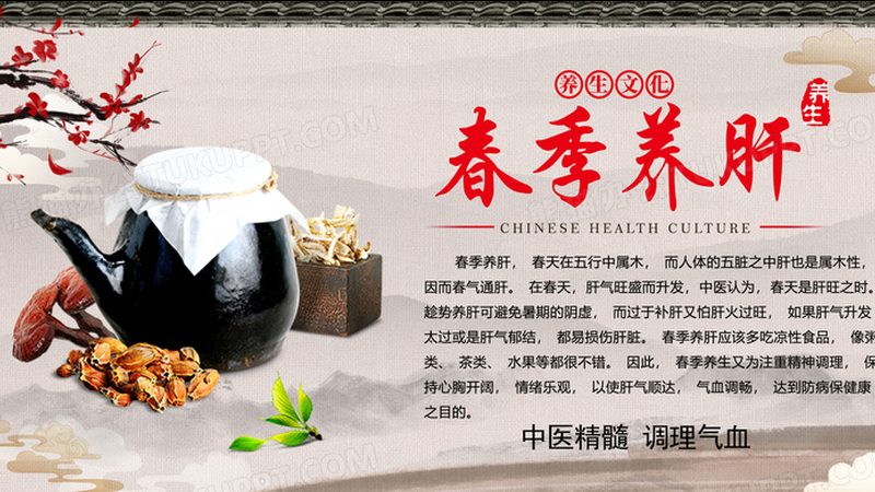 广州中医康复理疗与按摩店的本质区别解析