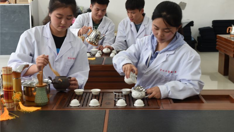 中药调理见效时间，揭秘其中的科学原理